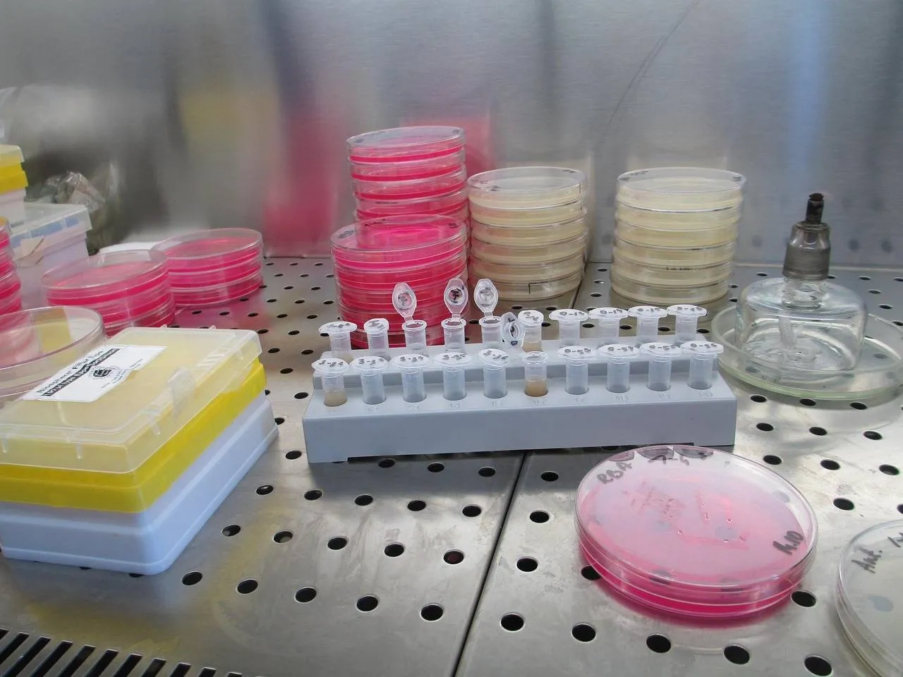 laboratorium sintija valucka via pixabay