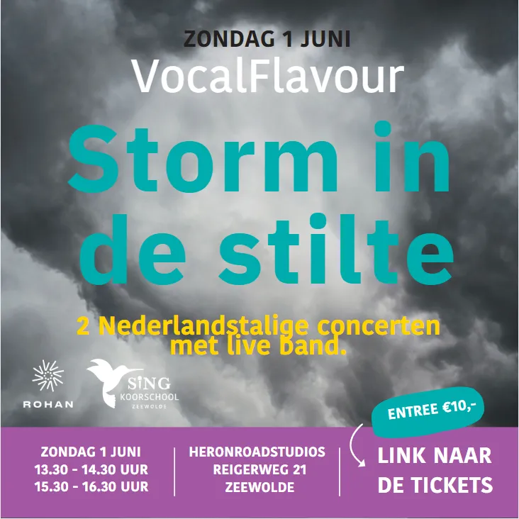 storm in de stilte vocal flavour singzeewolde