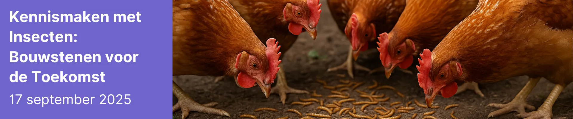 Kennismaken met Insecten (© Aanmelden)