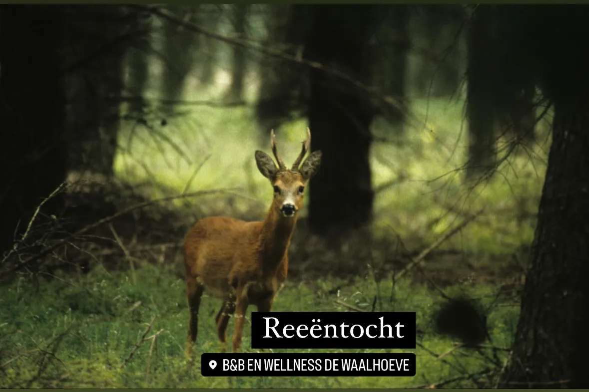 burl 9740ae37 1aed 4e5a bd3c 5dcd6feca1a4 2