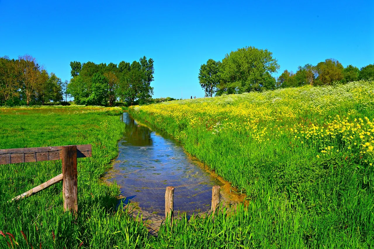 dutch landscape 5164580 1280