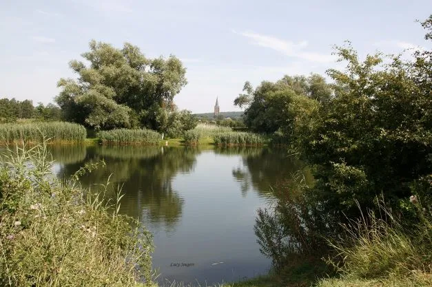 erfkamerlingschapdef