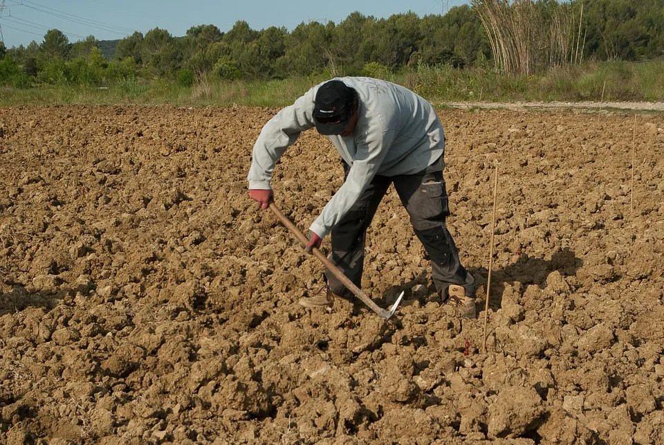 farmer 1367104 960 720