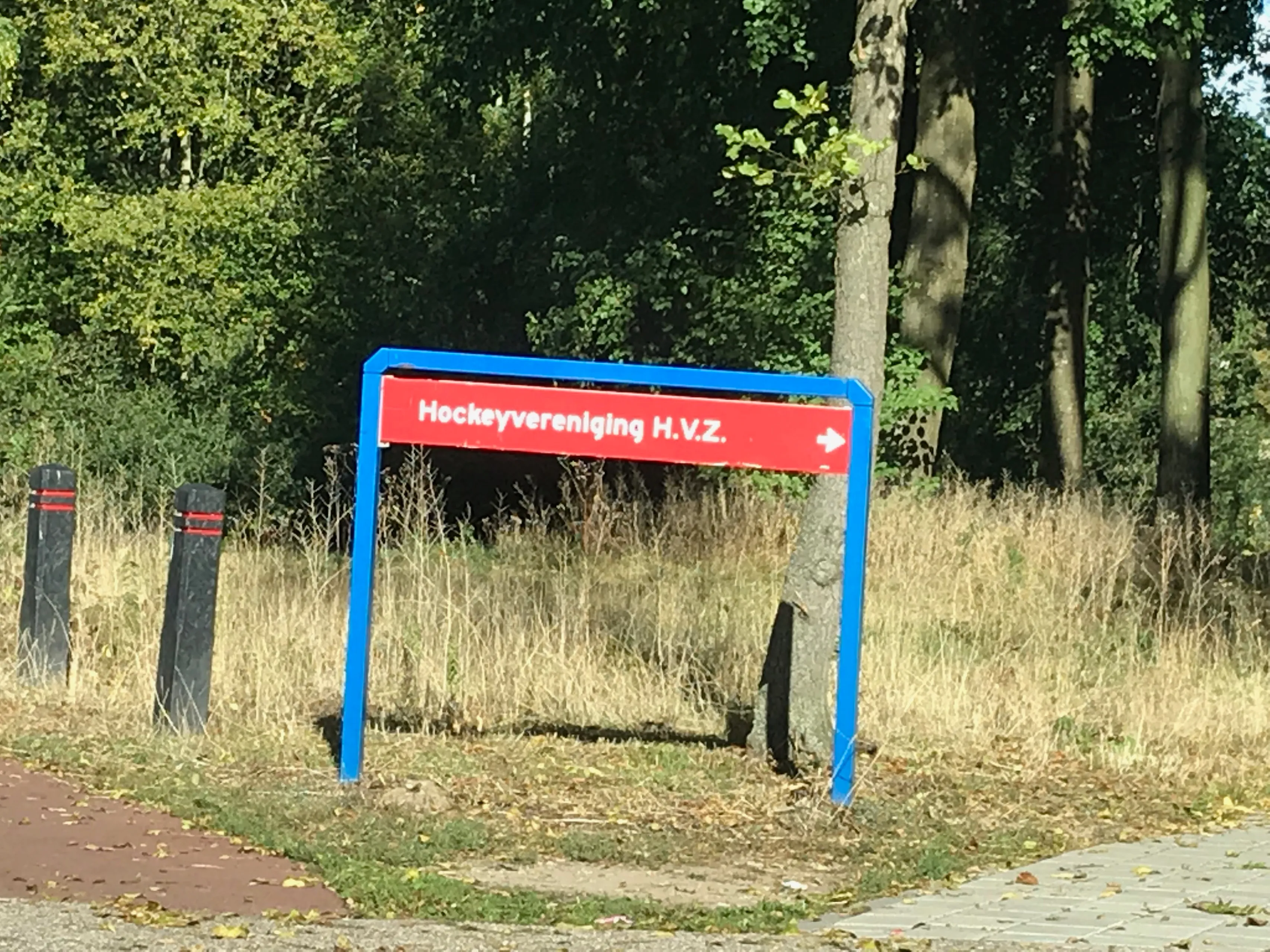 hockey zevenaar img 0283 1