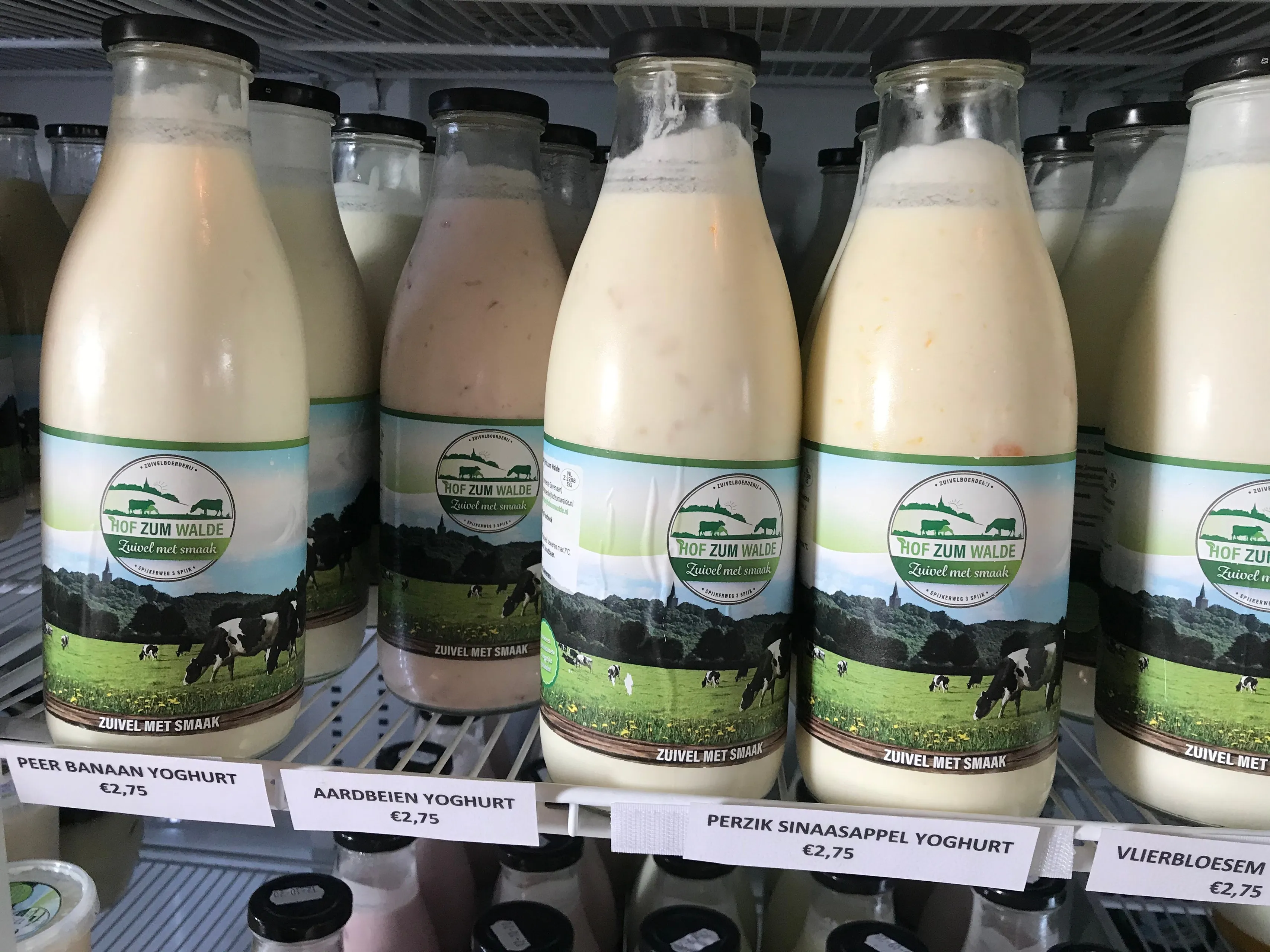 hofzumwalde 5 img 2555