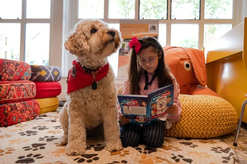 hond 300815625 5427369157346193 922822005479674073 n