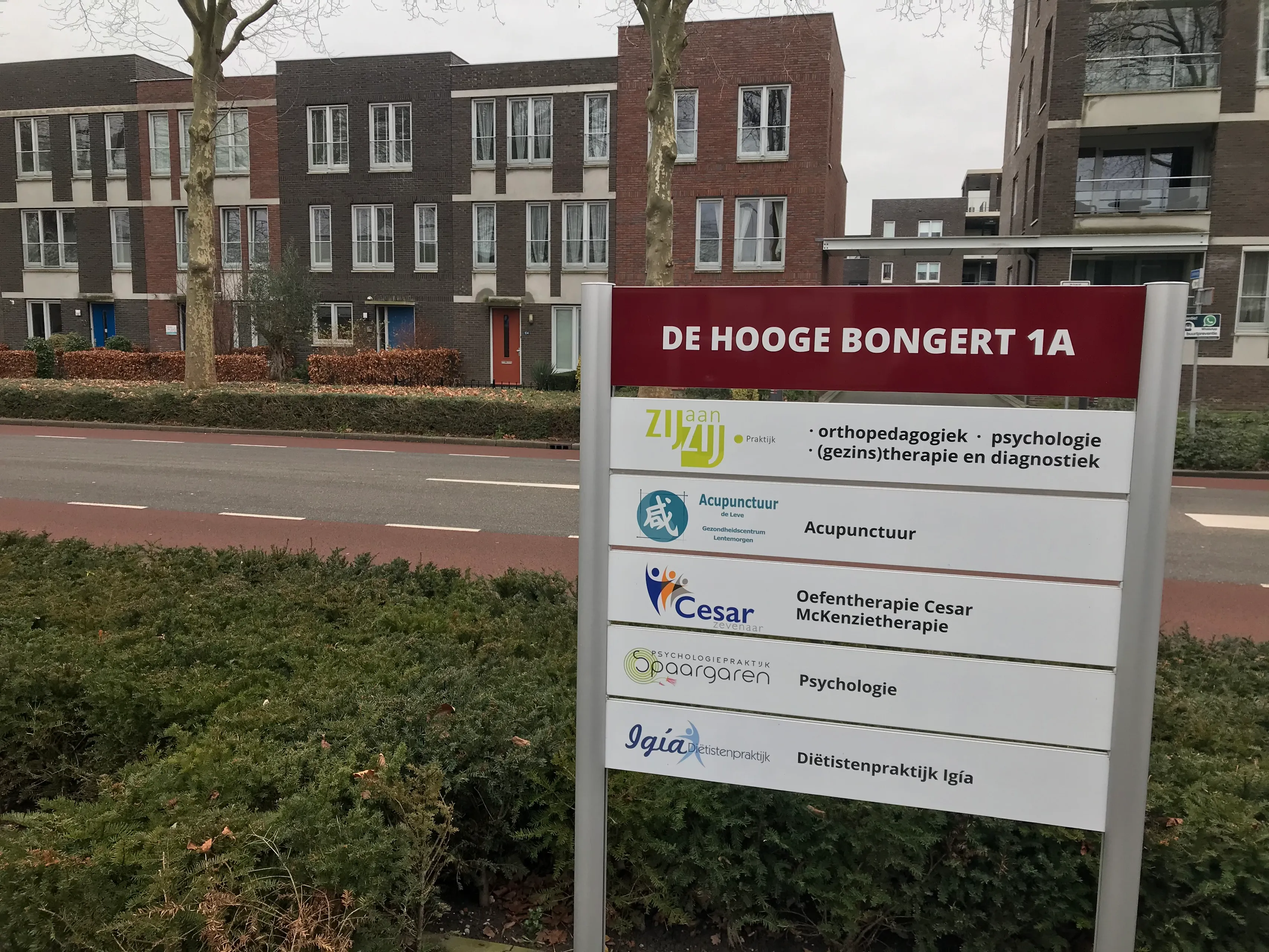 hooge bongert