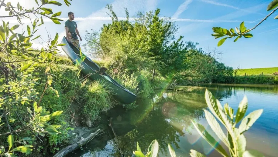 muskusrattenvanger 915x518 1