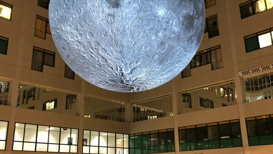 rijnstatemaan img 20221210 wa0000 915x518 1