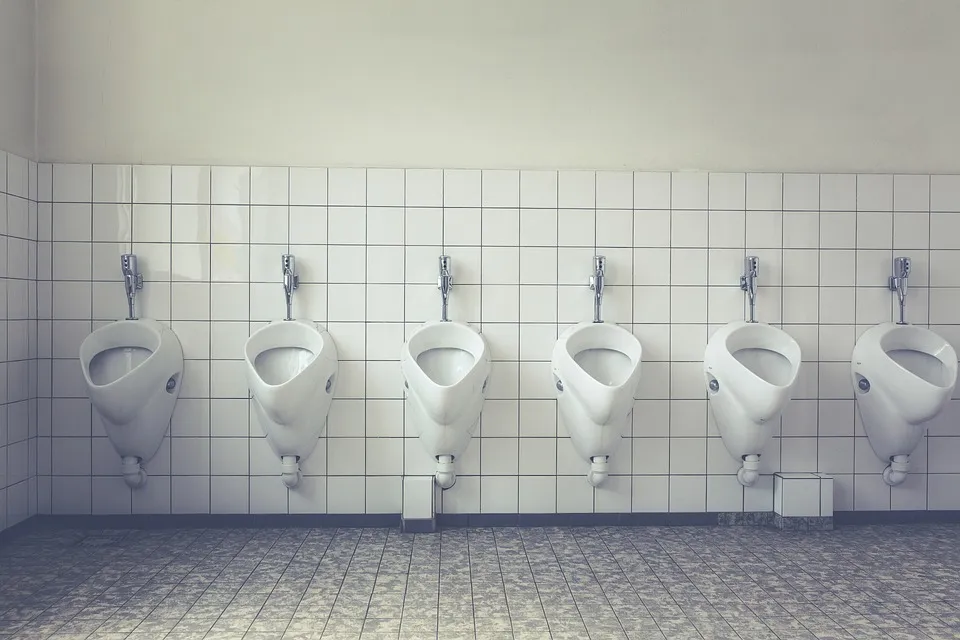 toilet 1542514 960 720