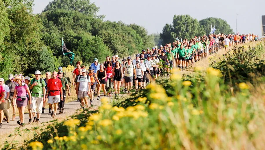 vierdaagse 915x518 1