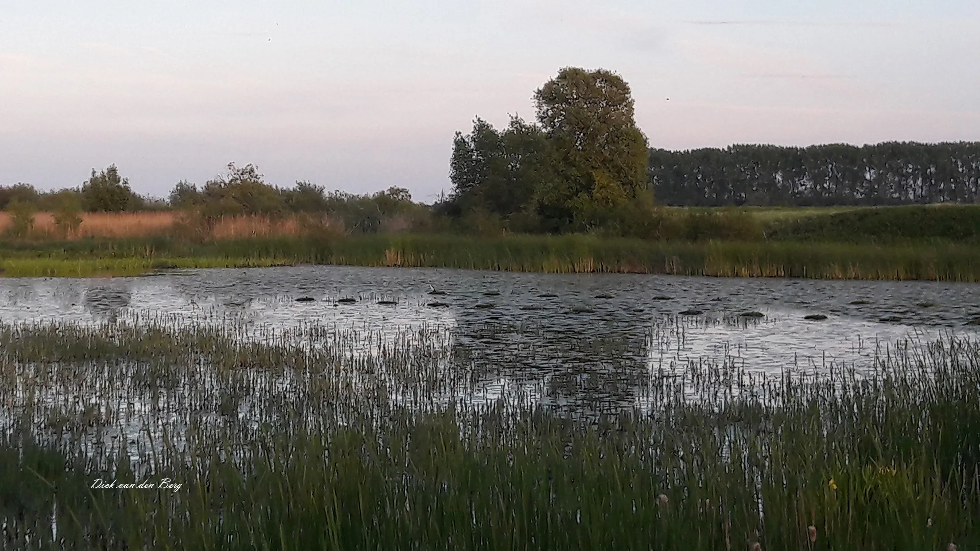 wandeling 20190523 205343