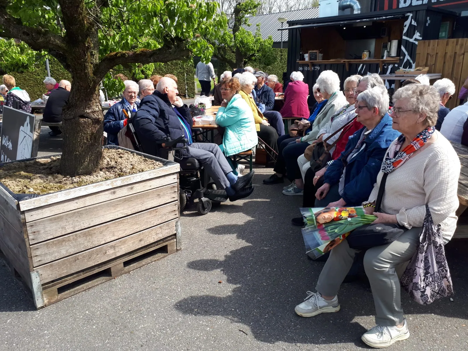 zonnebloem img 20230504 wa0058