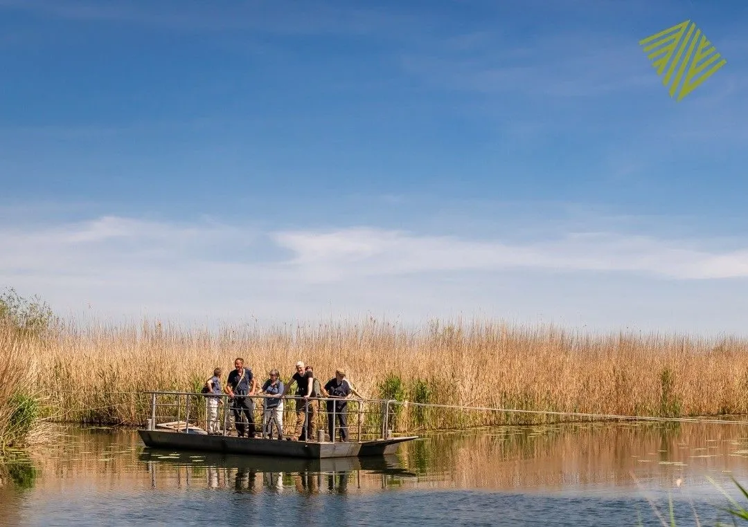 pontjedef 463236182 857149163256835 146019887854035426 n