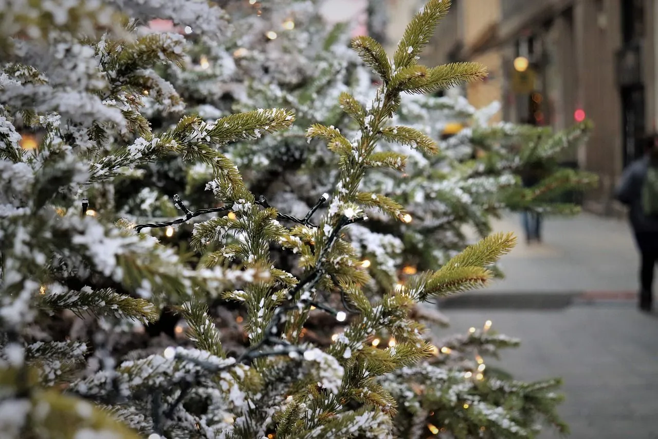 christmas tree 4679463 1280