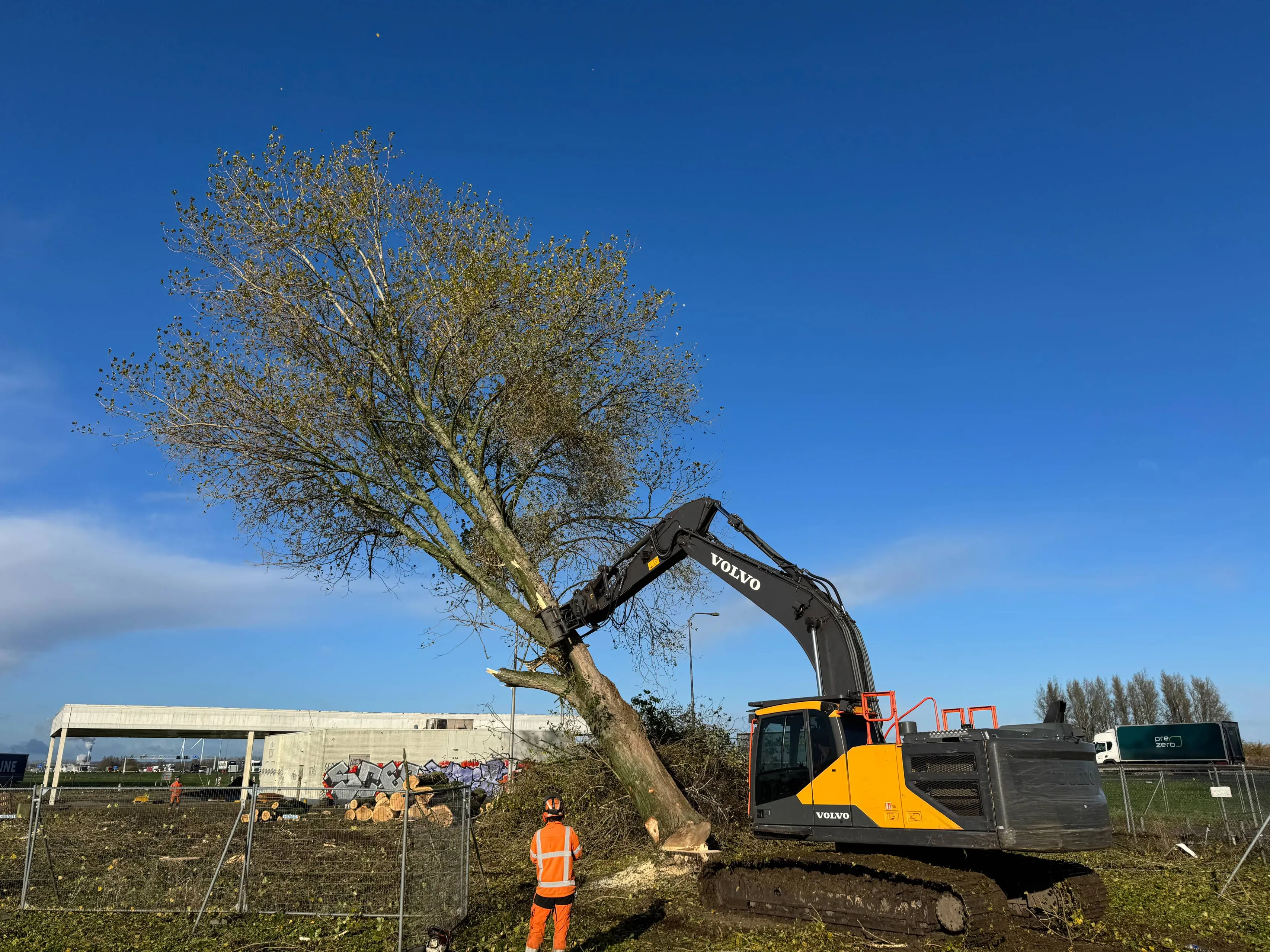 Bomenkap verzorgingsplaats Oudbroeken - november 2025