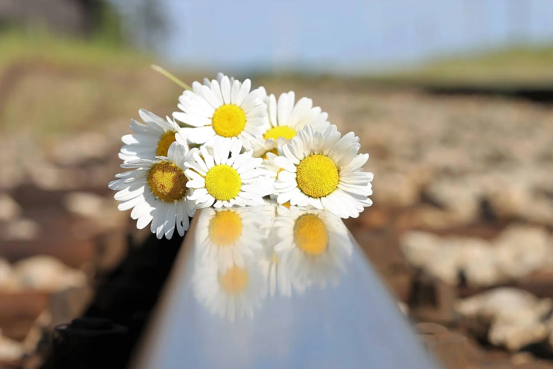 goranh-stop-youth-suicide-3414508_1920