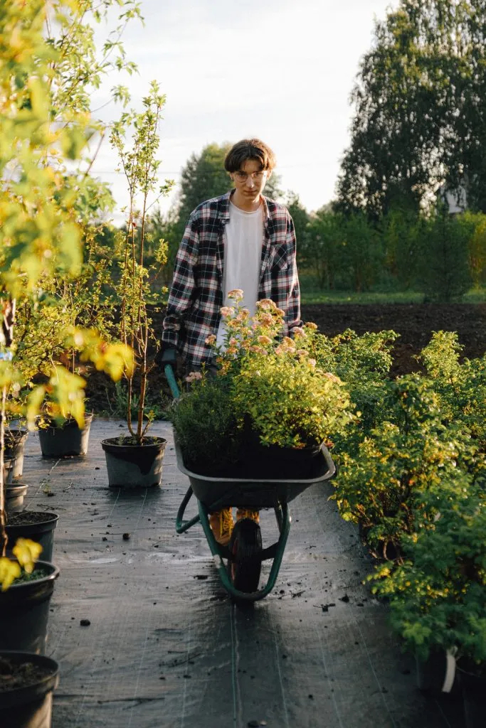 helpen in wijktuin noordhove free stockphoto