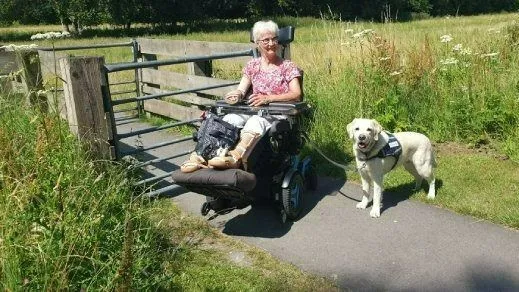 toegankelijk