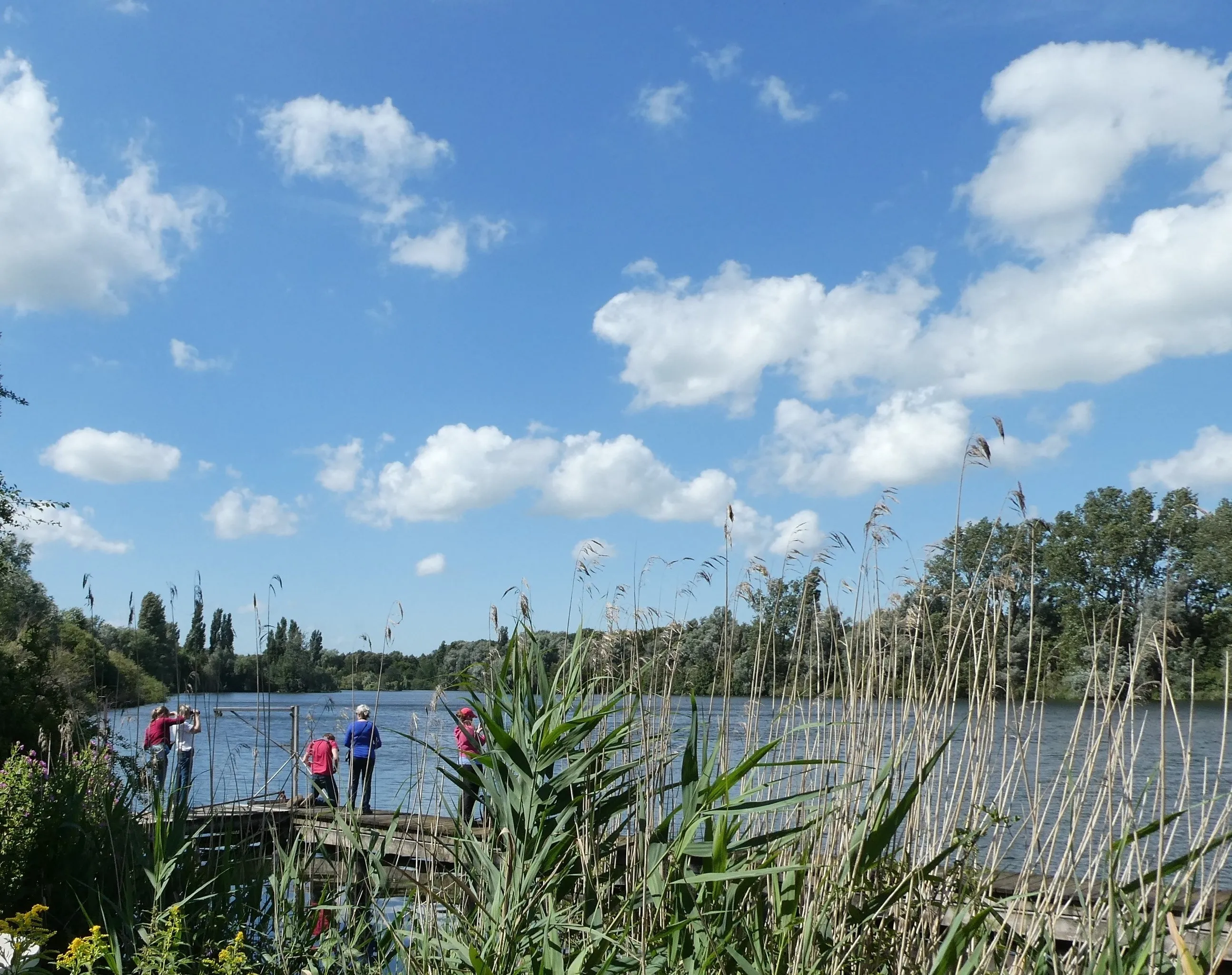11 plas van poot in zoetermeer