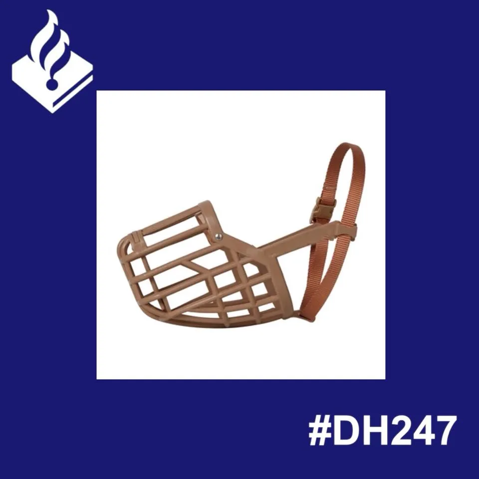 26230715 2194970797396989 8259272828667850301 n