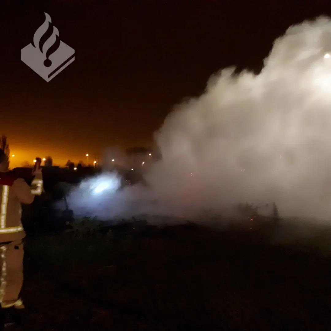 26240431 2194792944081441 4254084267183028344 o