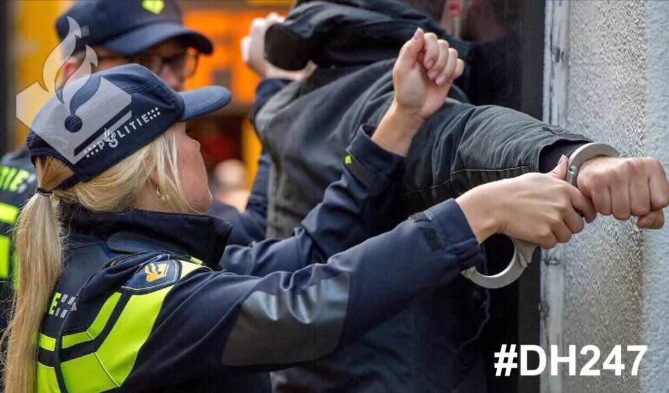 26907943 2202600993300636 60938835359615912 n