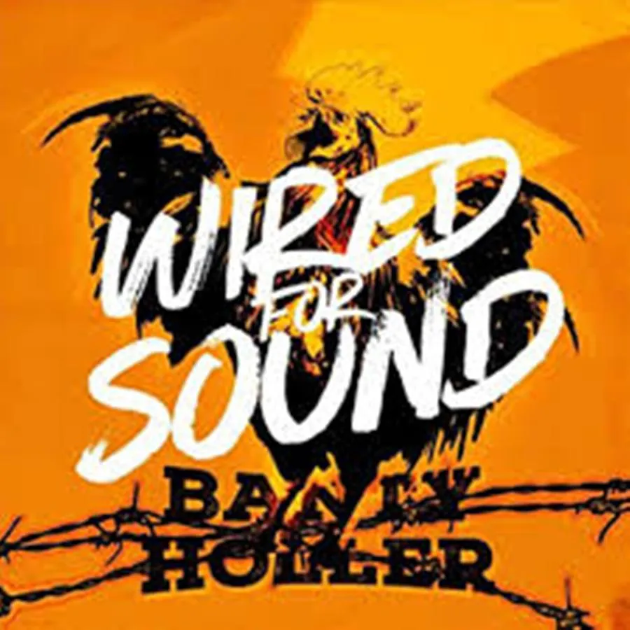 banty holler wired for sound