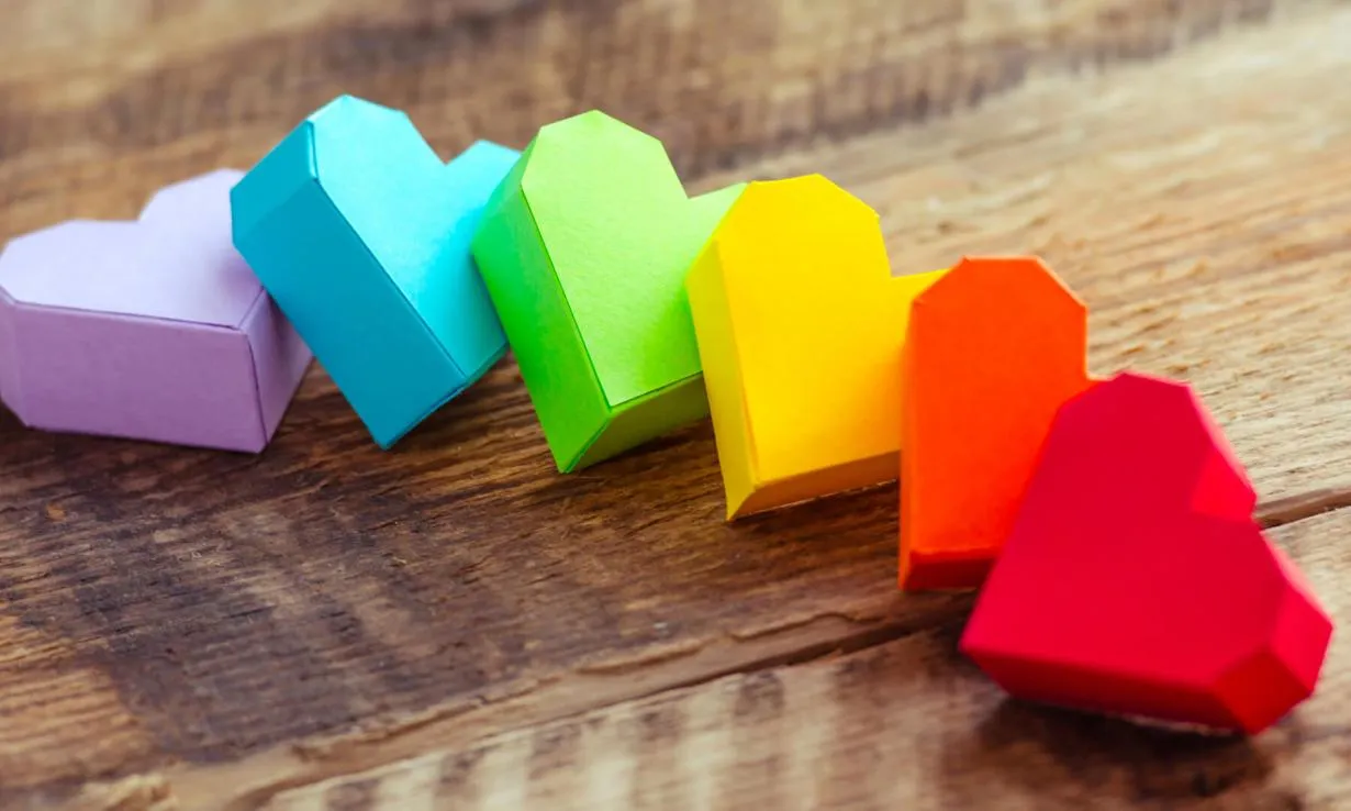 bijlage bij persbericht 68 lhbti