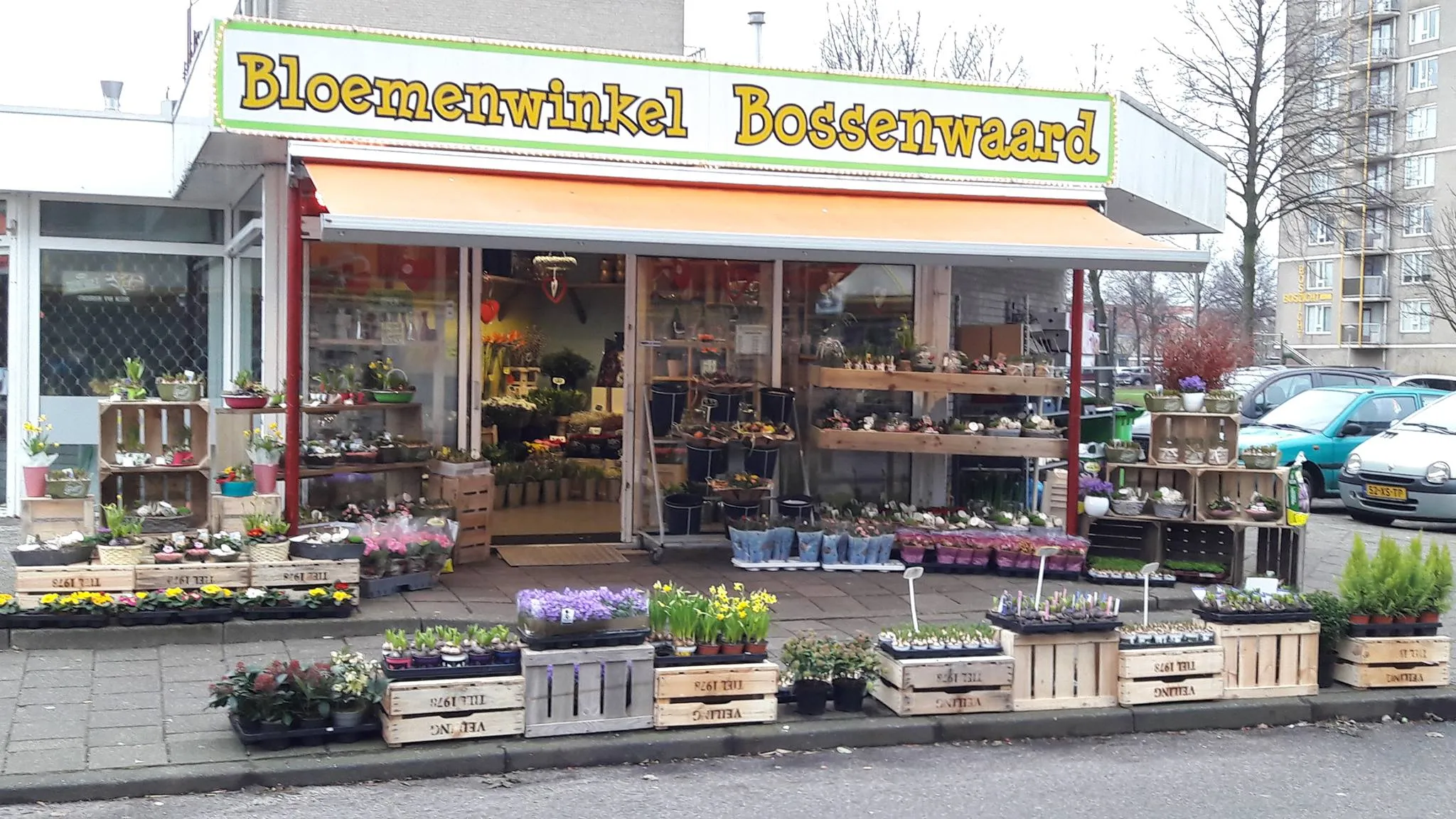 bloemenwinkel bossenwaard