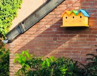 burendag in buytenwegh foto stichting piezo