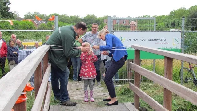 d66 2