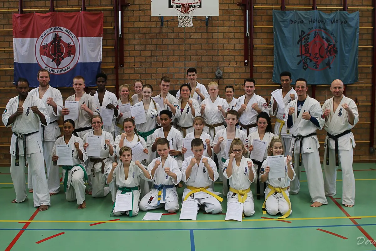 dojo