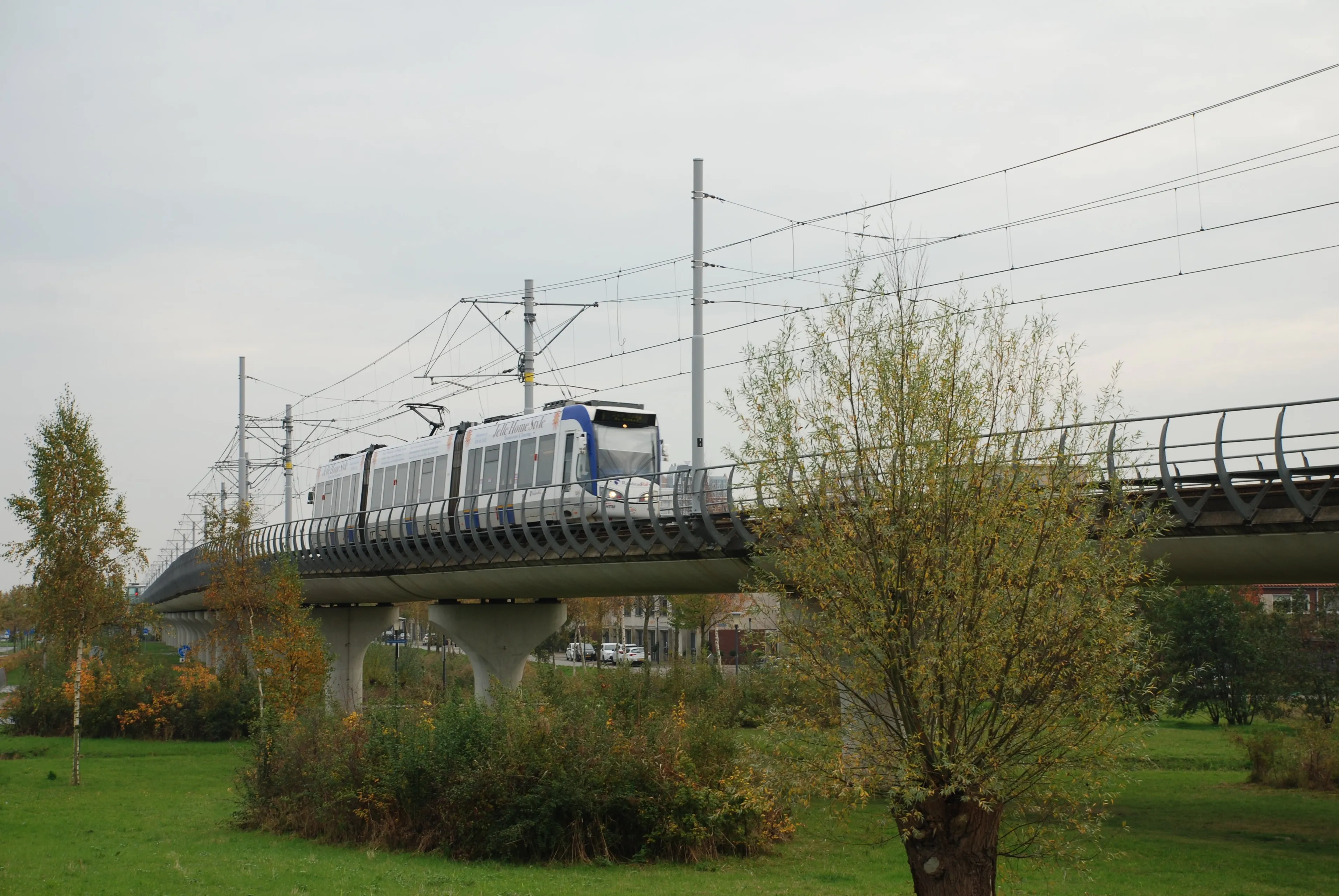 dsc 4565