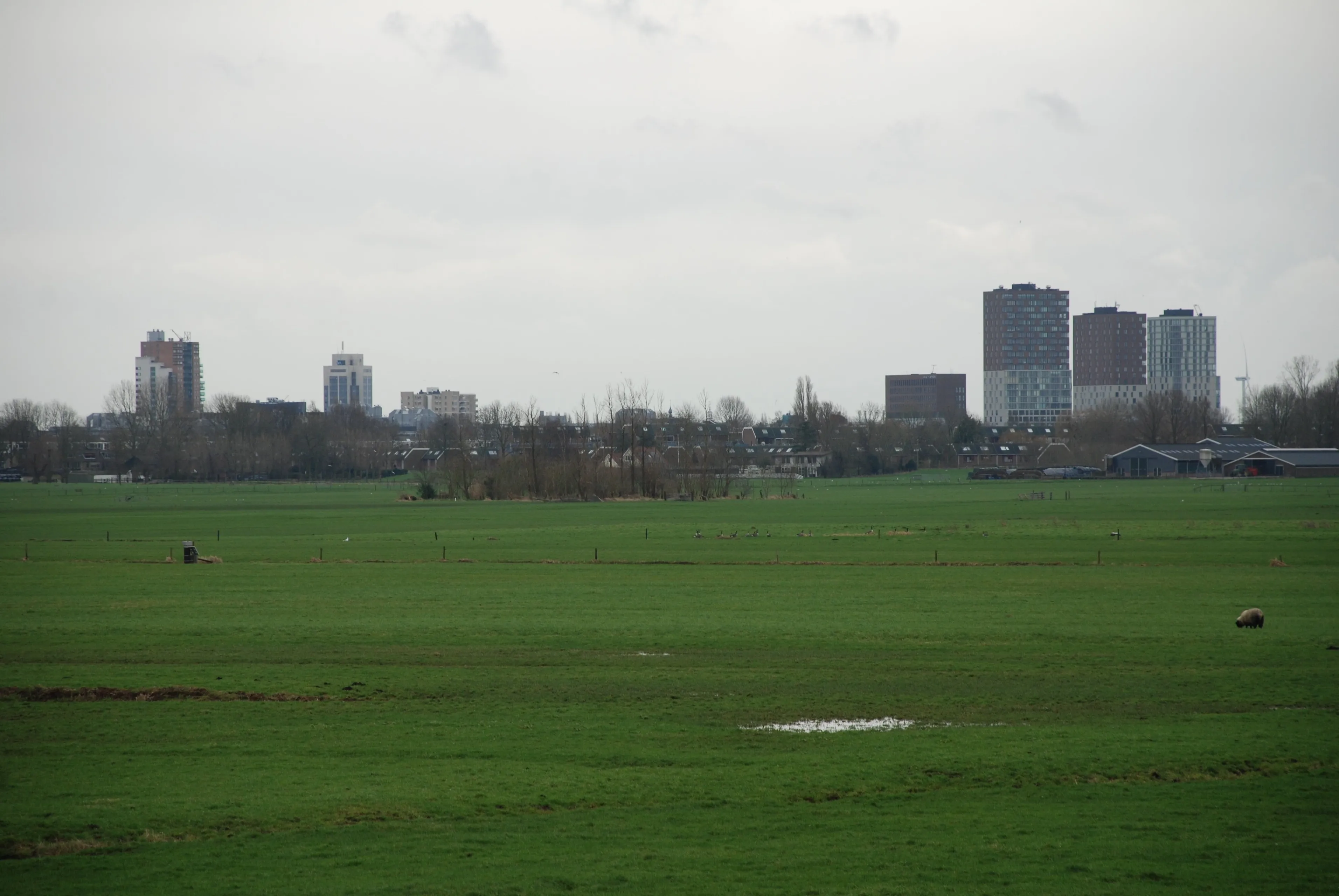 dsc 4740