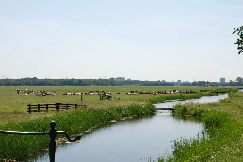 duivenvoordecorridor