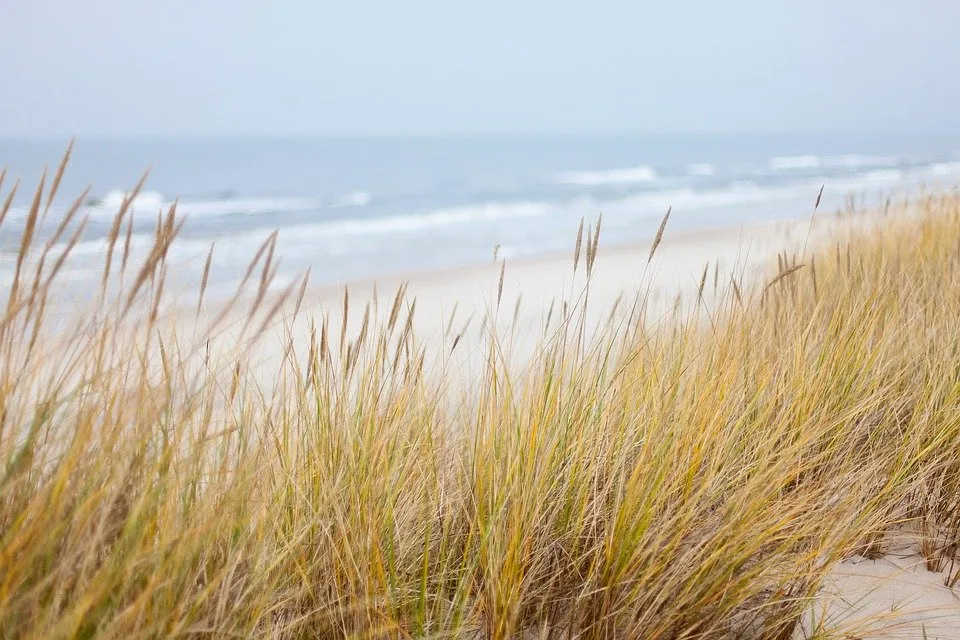 dunes 1936086 960 720