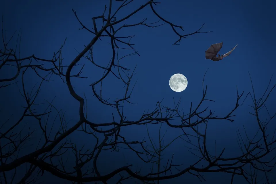 full moon 3659302 960 720