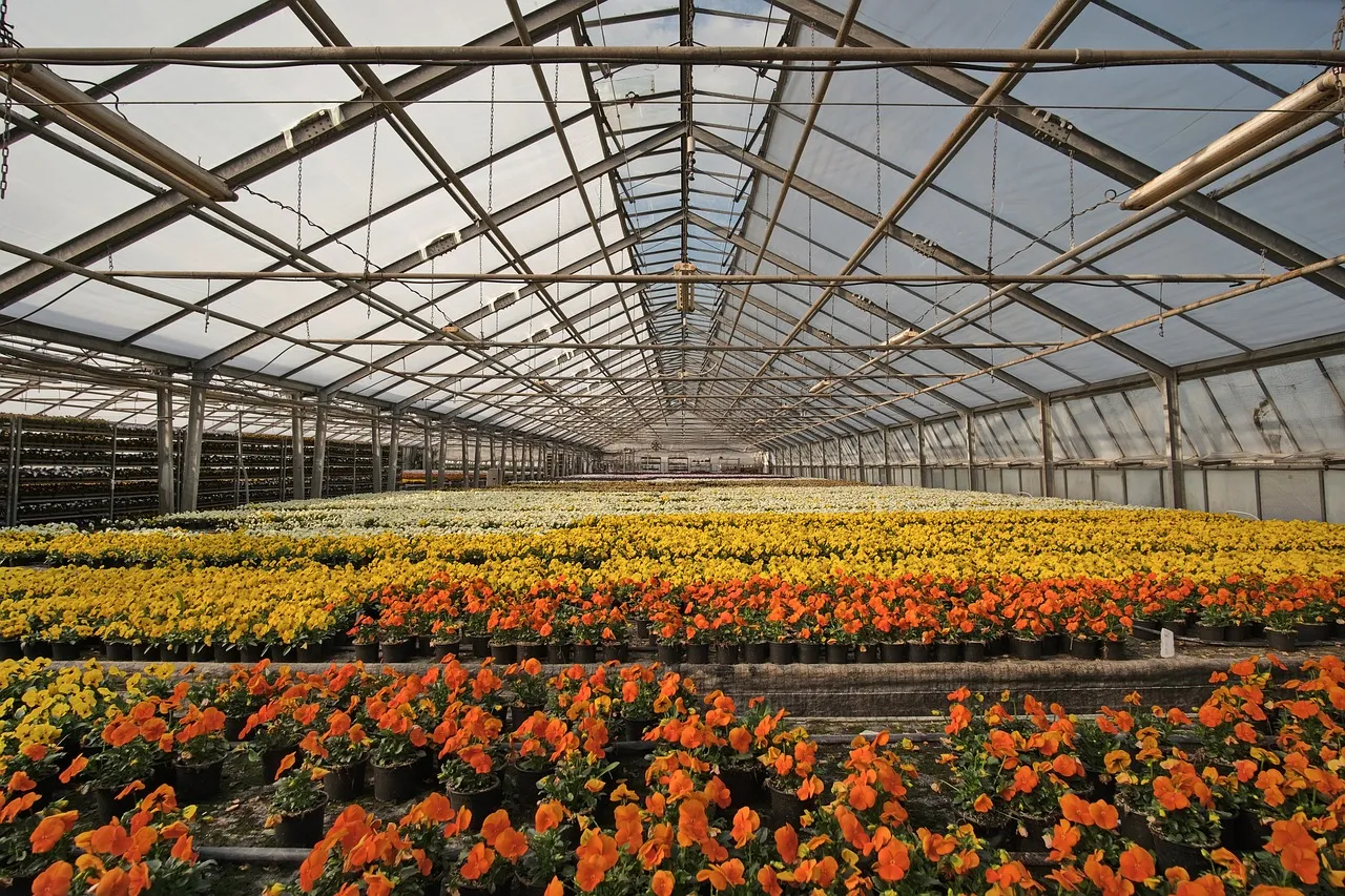 greenhouse 4948726 1280