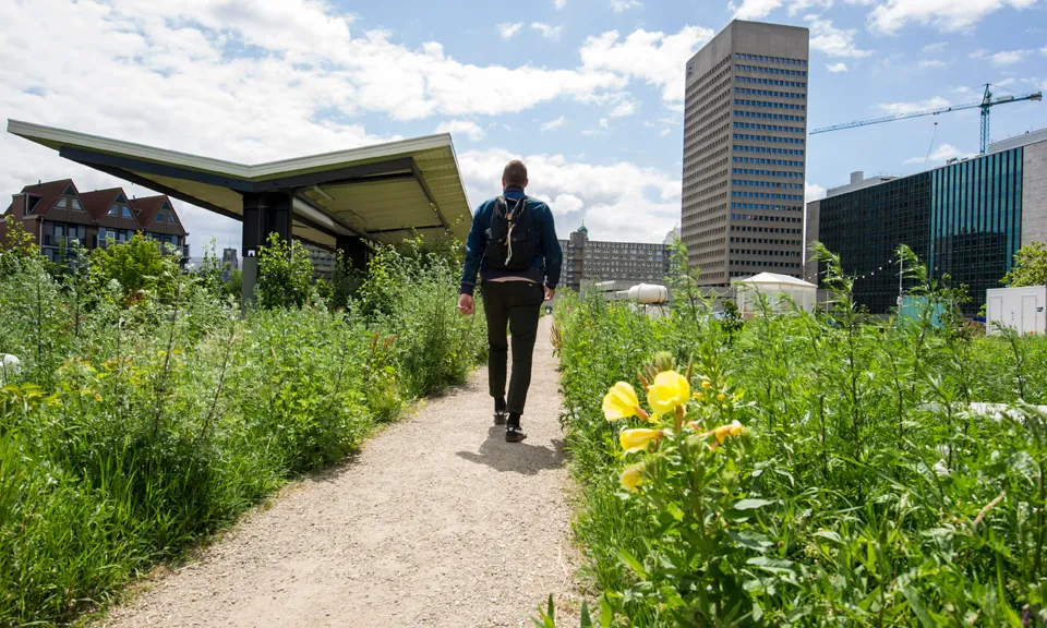 hofplein station dakpark