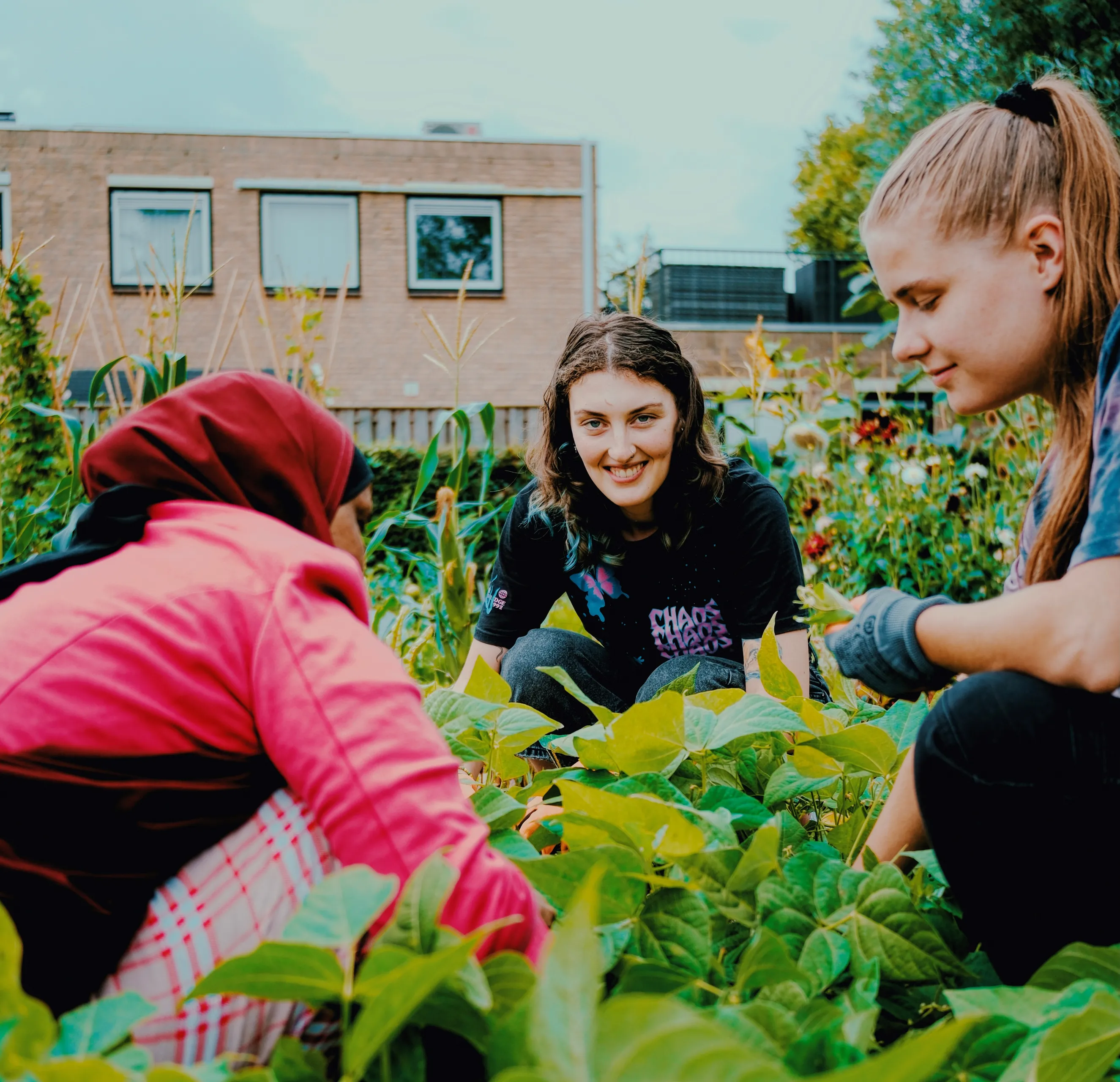 internationale studenten en inburgeraars werken en leren samen in wijktuin noordhove foto stichting piezo