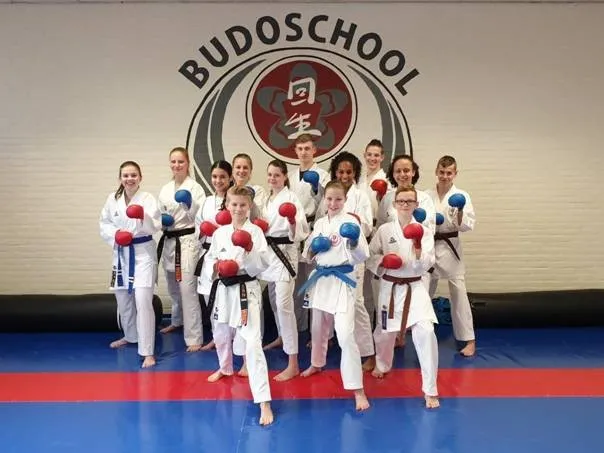 kaiseiteam