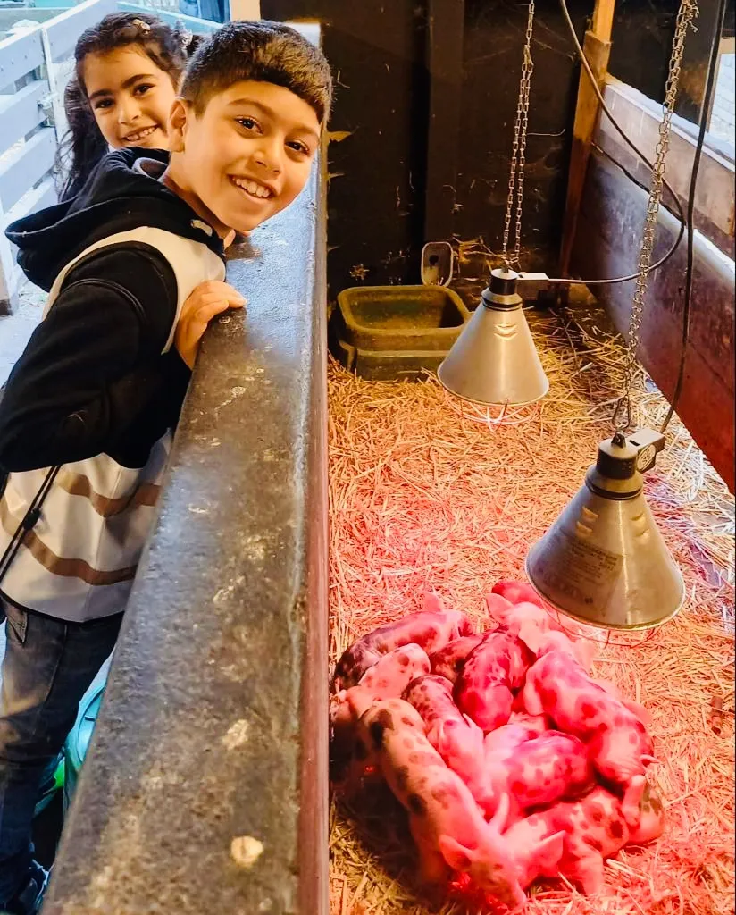 kinderen talentenacademie bezoeken buitenbeest fotograaf stichting piezo