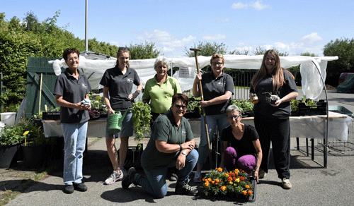 med wijktuin rokkeveen500