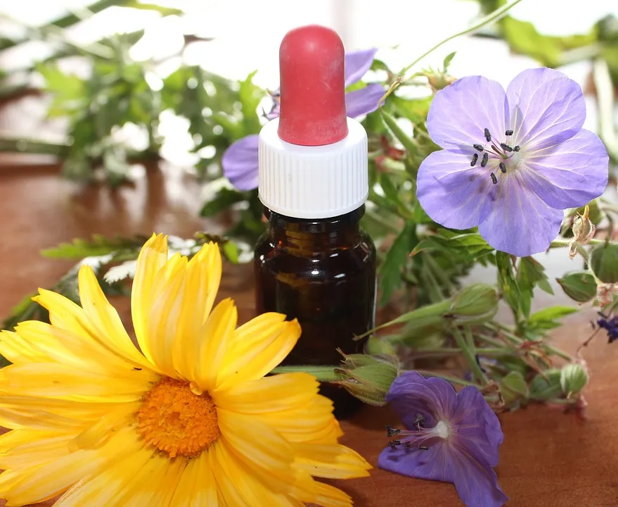 natural medicine 1738161 960 720