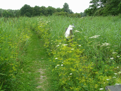 natuurtuin juli 450