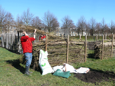 natuurwerkdag rokkeveen400
