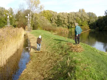 natuurwerkdag2 2nov19 345x259
