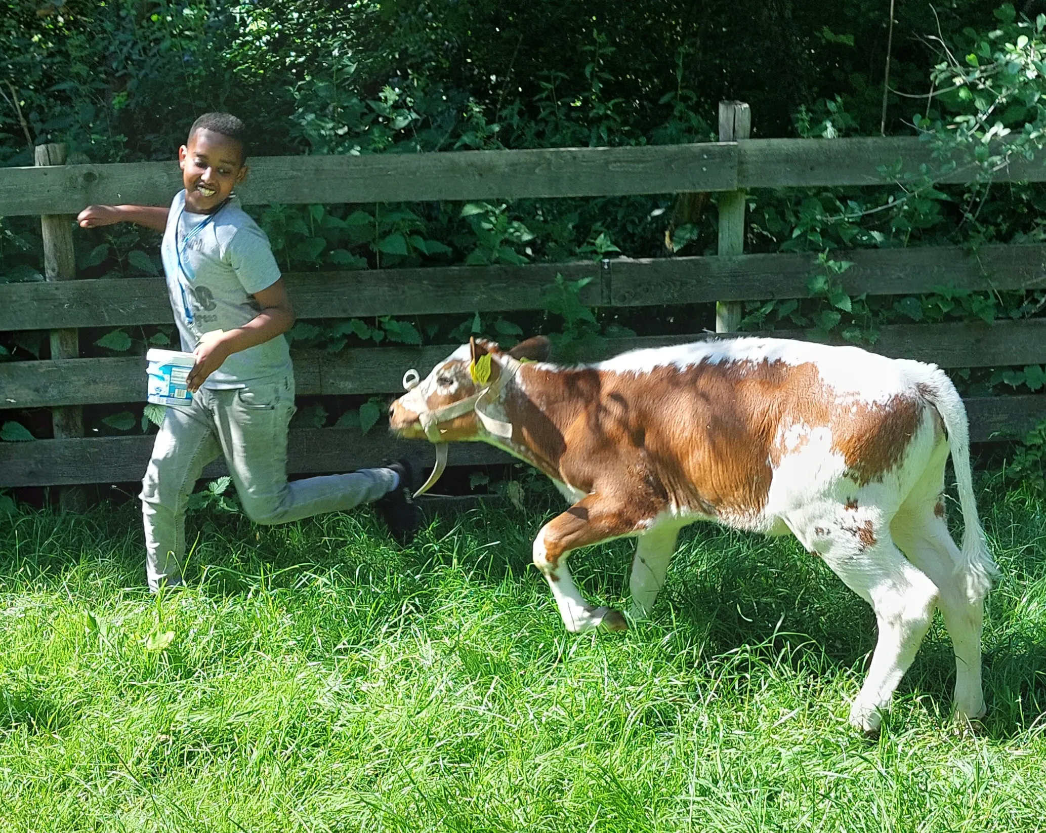piezo talentenacademie meerzicht leert op de kinderboerderij alles over het beroep van dierenverzorger fotograaf stichting piezo