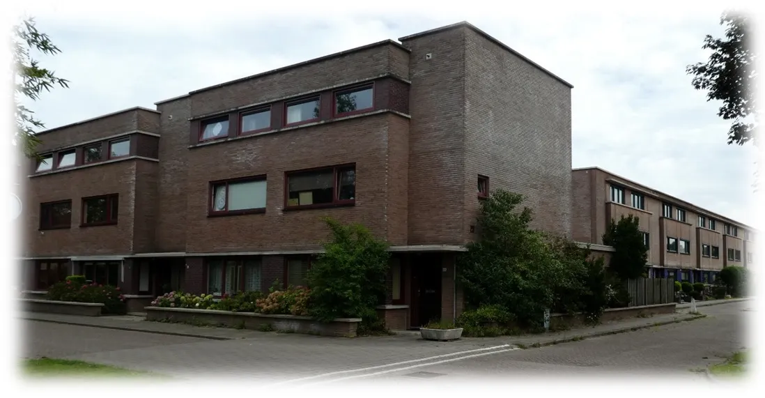 plataanhout